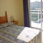 Rentalmar Decathlon